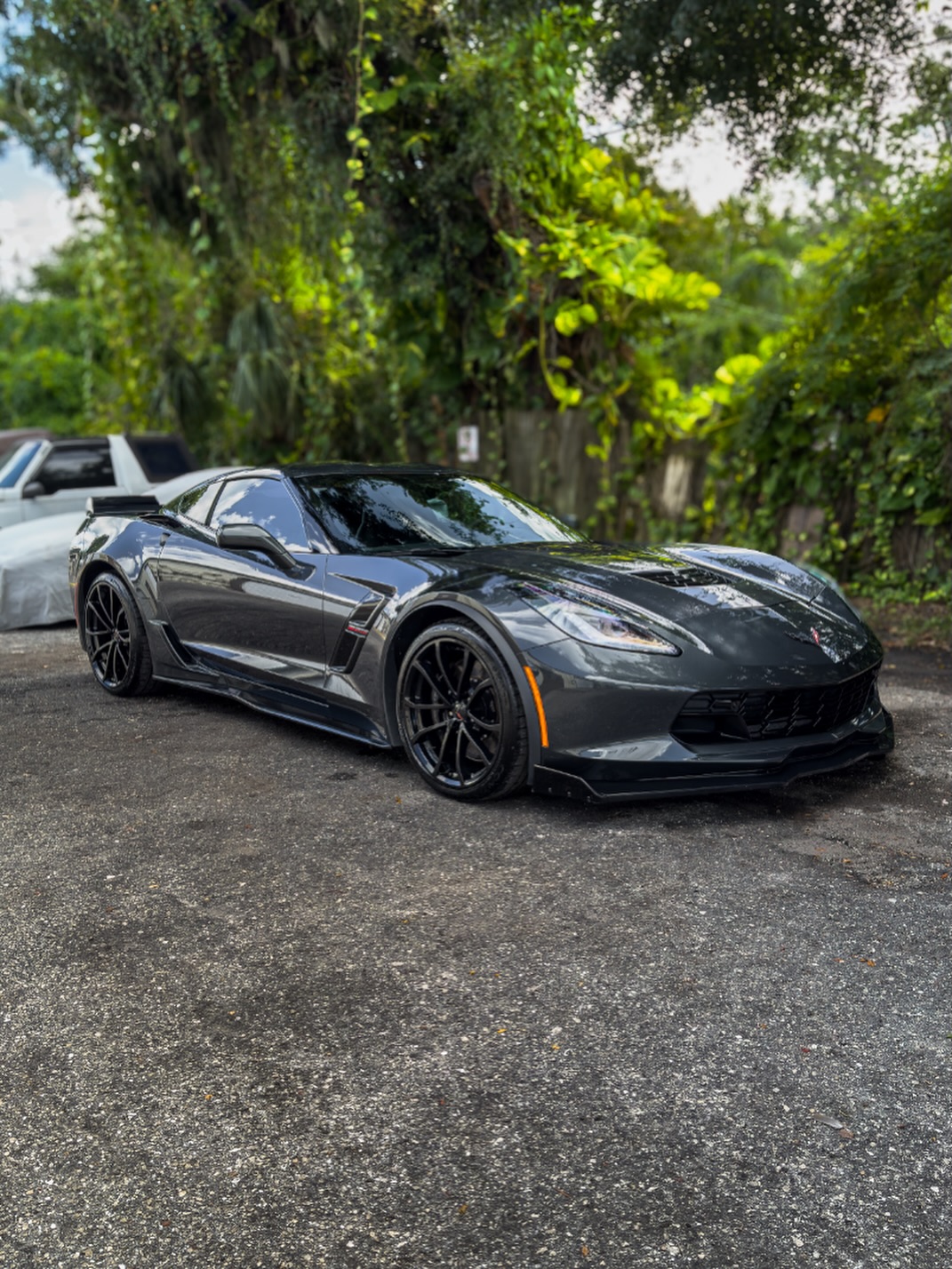 Sharkey's Detailing & Tint Standard Detail