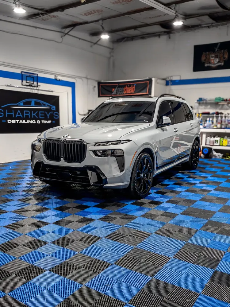 paint protection film