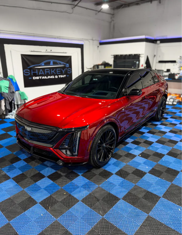 paint correction 