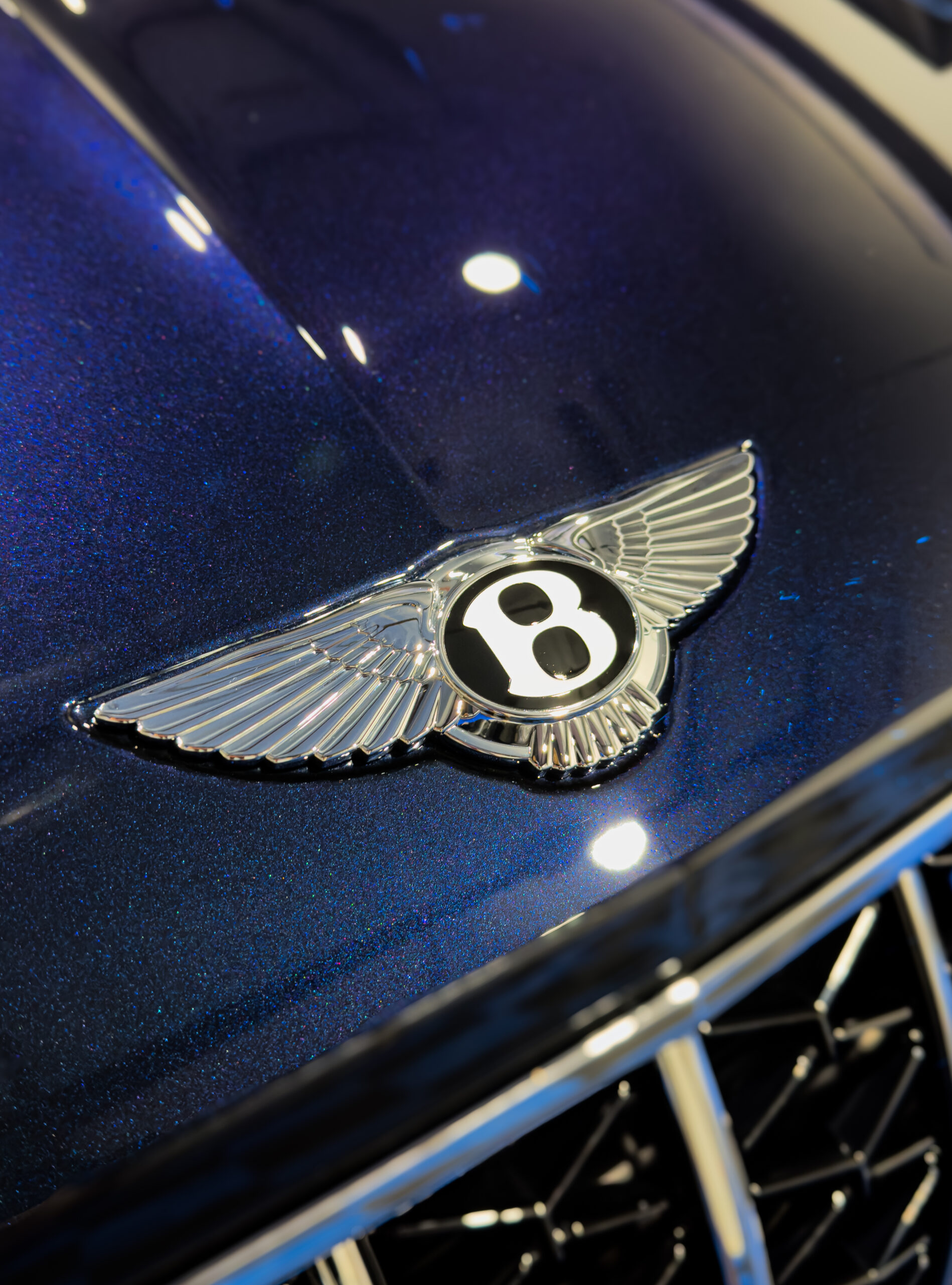 Vehicle Service in Sarasota, FL