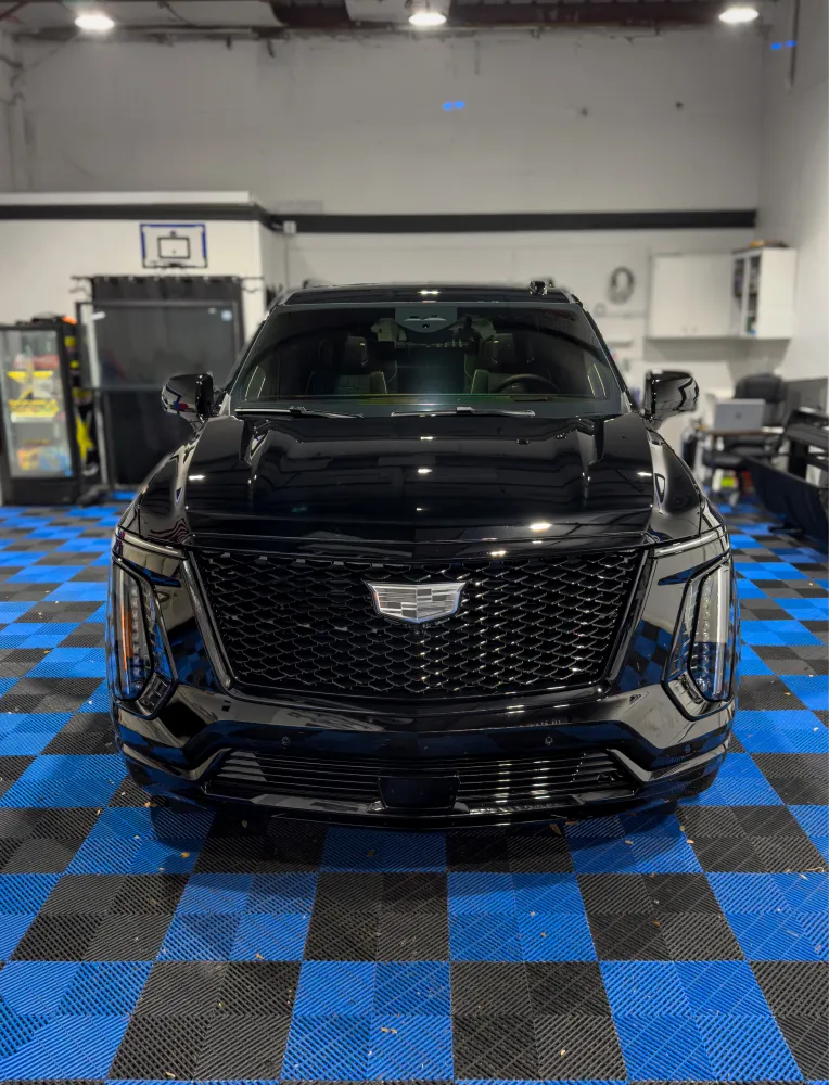paint protection film